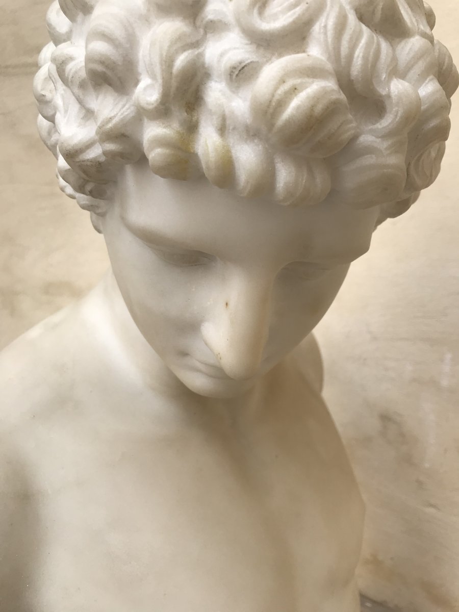 Bust Of Antinous Marble-photo-4