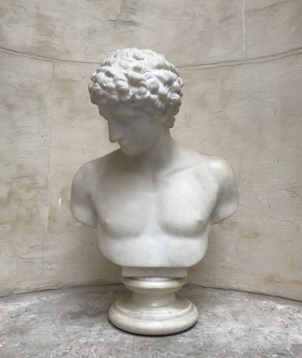 Bust Of Antinous Marble