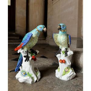 Paire De Perroquets En Porcelaine De Saxe Fin 19ème Siècle