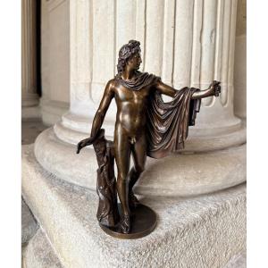 Apollon Du Belvédère, Bronze Du Grand Tour 19ème Siècle 