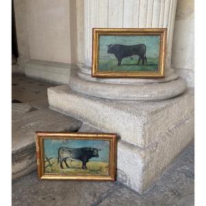 Pair Of Bull Portraits, Spanish School, Late 19th Century
