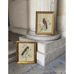 Paire de tableaux d’oiseaux en plumes vers 1900