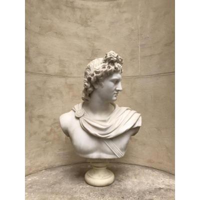 Buste De L’Apollon Du Belvédère En Marbre Vers 1830/1850