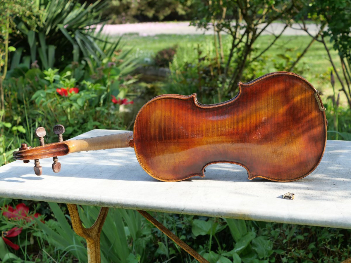 Violon Professionnel 4/4 Acoulon & Blondelet Maître Sarazat  Début XX ème - Lnd24vio001-photo-4
