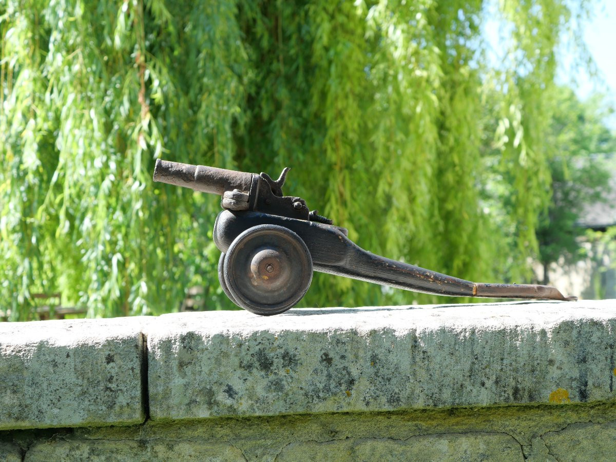   Cal20 Bird Scarer Mounted Warning Cannon - Trapping - Per25can001-photo-4