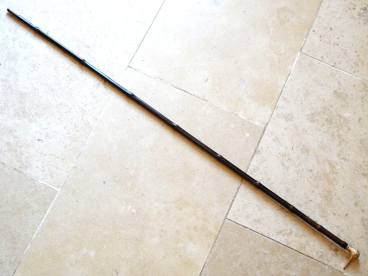 Fine Canne de dandy à pommeau de tête d’oiseau en métal doré XIX SDC24CAN002-photo-3