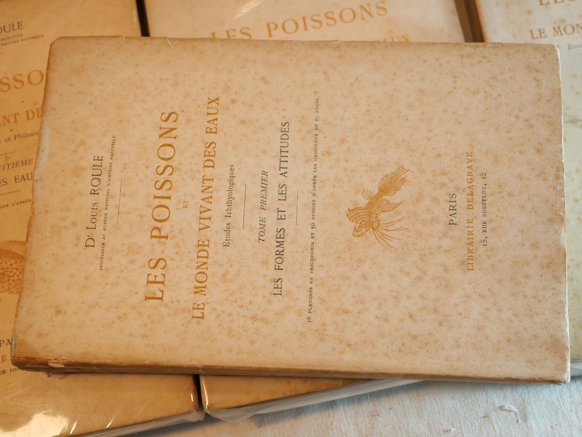 Série complète livres Docteur Roule LES POISSONS ET LE MONDE VIVANT DES EAUX - SBX24POI001-photo-2