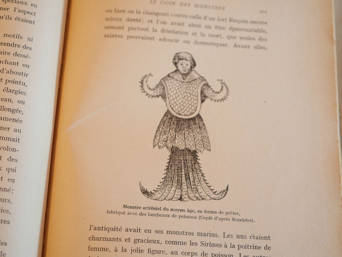 Série complète livres Docteur Roule LES POISSONS ET LE MONDE VIVANT DES EAUX - SBX24POI001-photo-5
