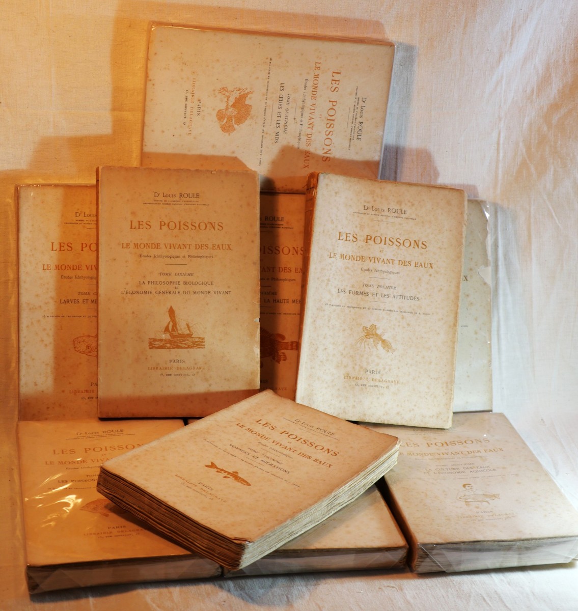 Série complète livres Docteur Roule LES POISSONS ET LE MONDE VIVANT DES EAUX - SBX24POI001