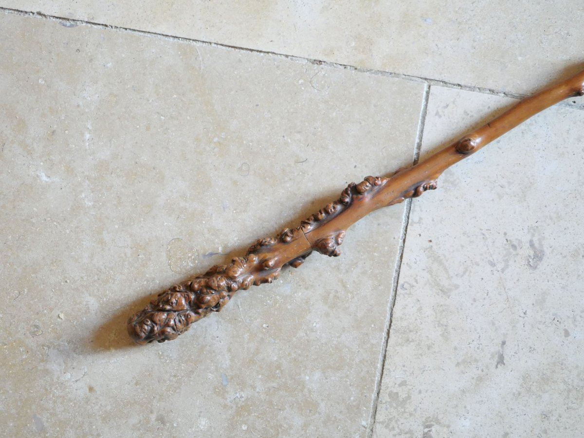 Cravache avec dague dissimulée bouton et arme parfaitement masqués  XIX  HER25CAN006-photo-3