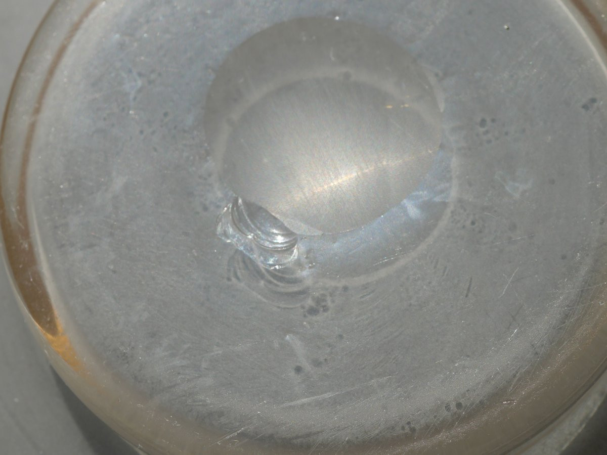 Art Nouveau - Sandblasted Glass Seashell Bowl With Japanese-style Decoration, 19th Century, Montjoye Scn25pap001-photo-7