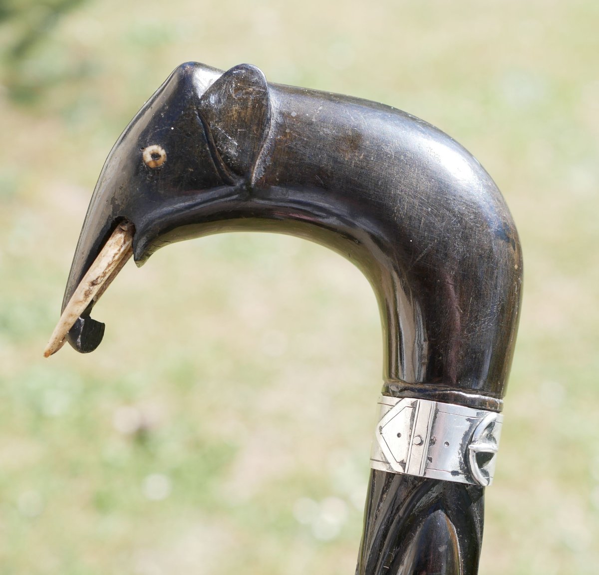 British Colonial Cane Carved Ebony Elephant Head Silver Ring Dr J. Dunlop Scn26obj010-photo-3