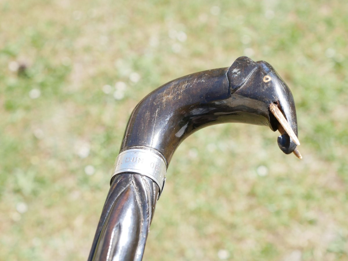 British Colonial Cane Carved Ebony Elephant Head Silver Ring Dr J. Dunlop Scn26obj010-photo-6