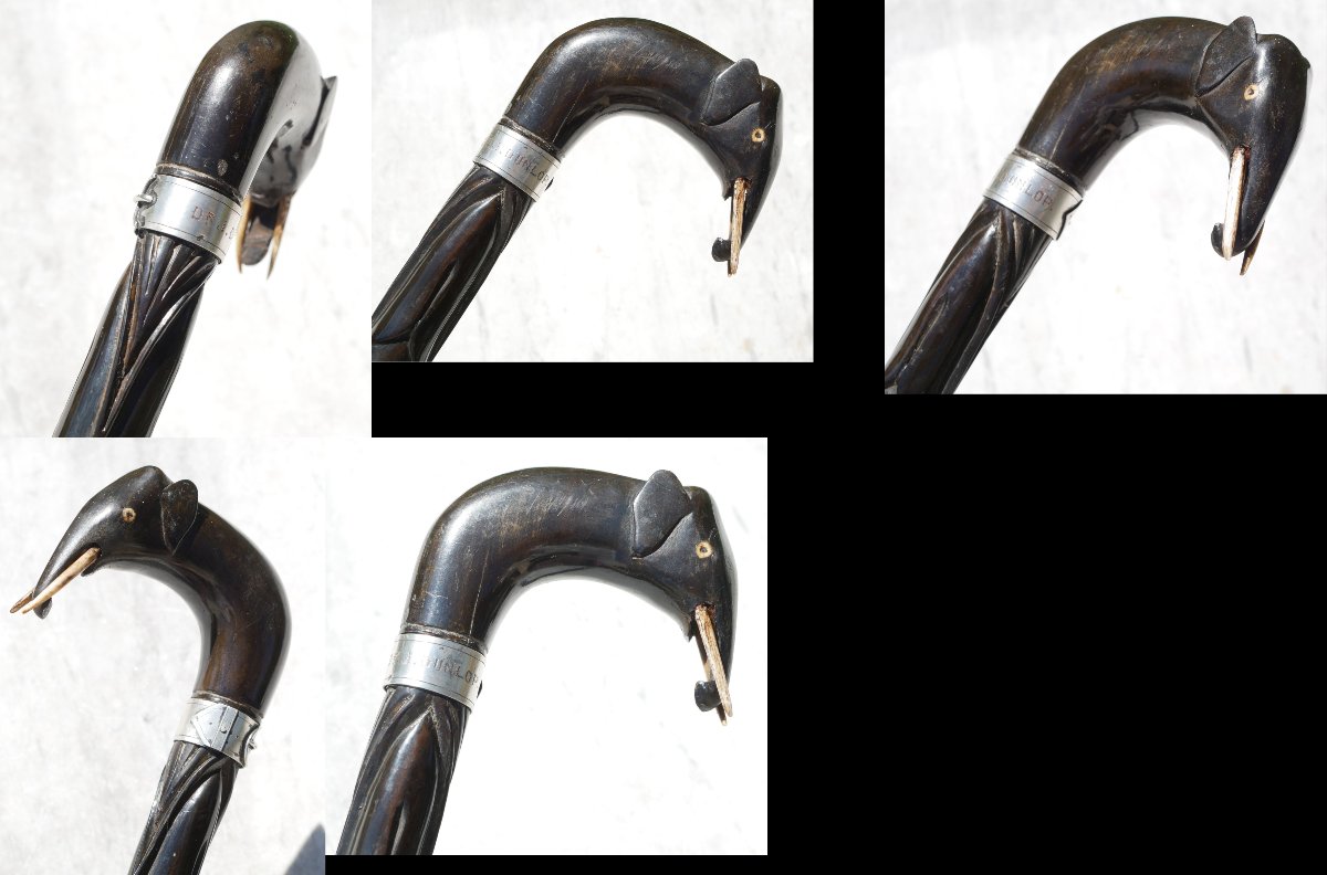 British Colonial Cane Carved Ebony Elephant Head Silver Ring Dr J. Dunlop Scn26obj010-photo-7