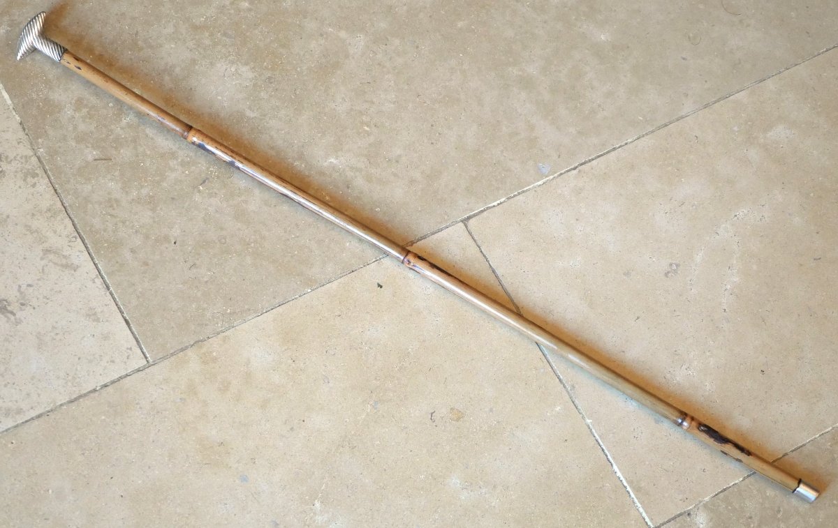 Dandy's Fine Riding Crop Cane With Oval-shaped Knob Silver Plated Sdc24can003-photo-2