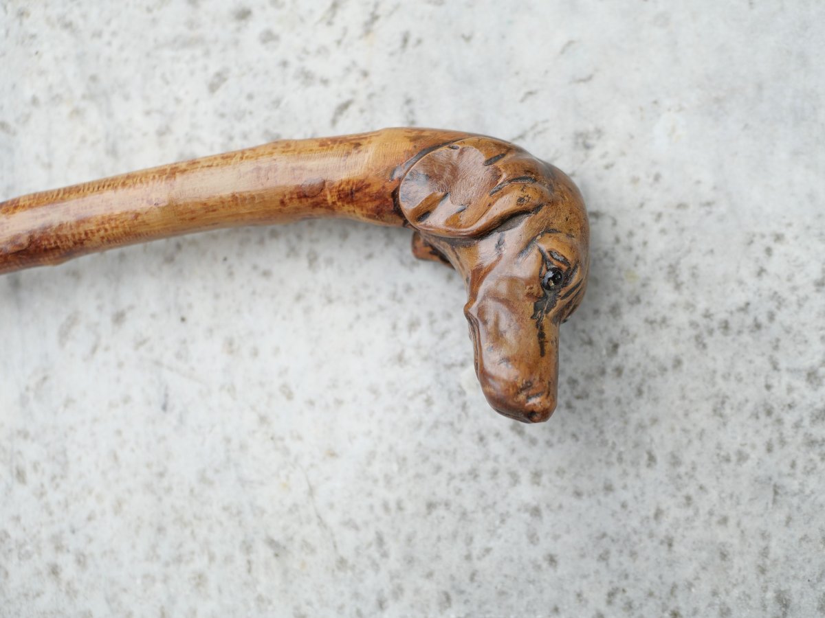 Cane Dog Head With Glass Or Sulfur Eyes XIX Period Oub25can007-photo-1