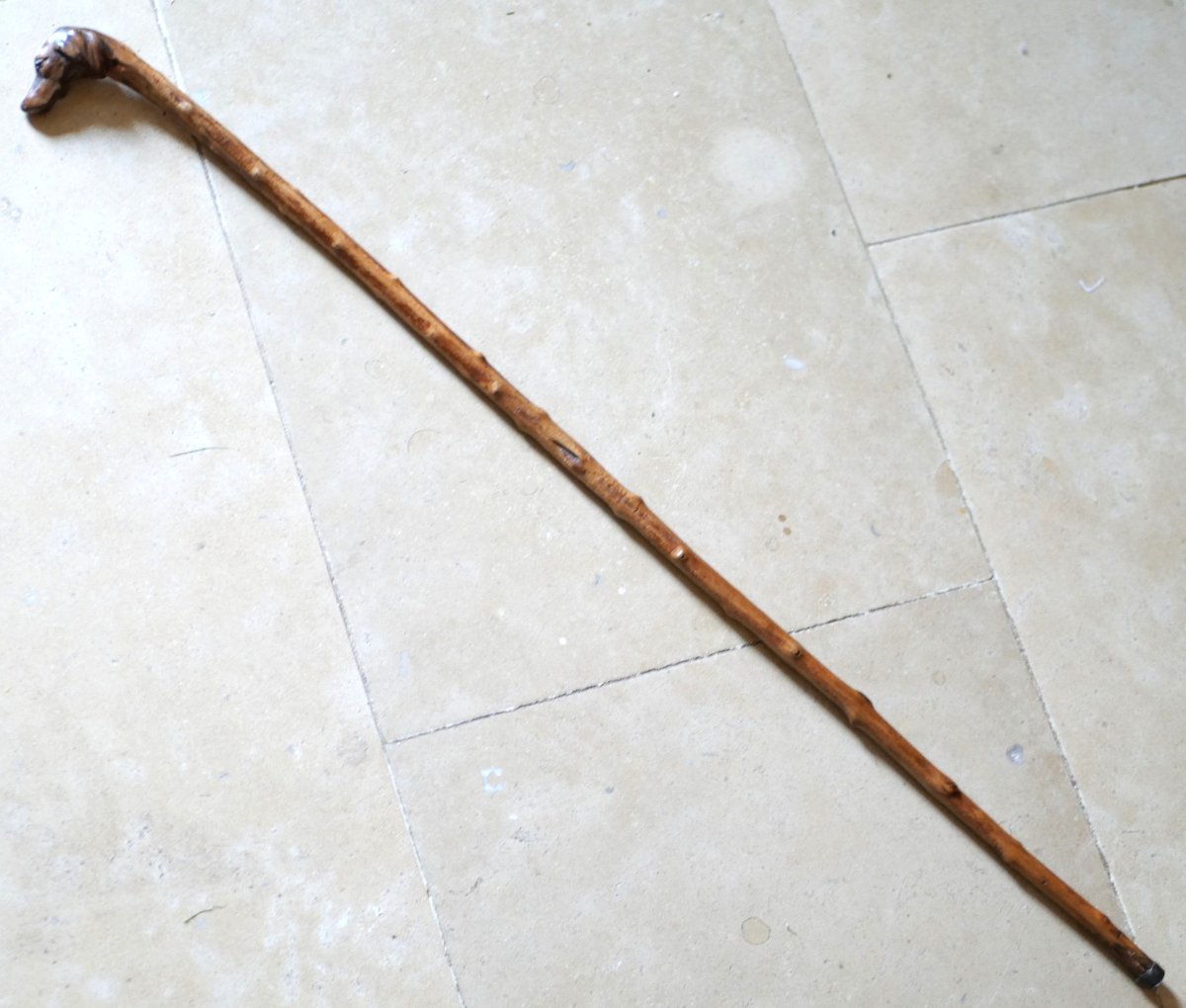 Cane Dog Head With Glass Or Sulfur Eyes XIX Period Oub25can007-photo-6