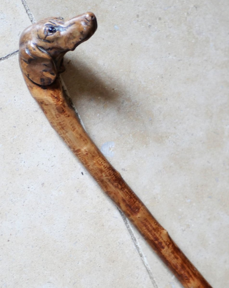 Cane Dog Head With Glass Or Sulfur Eyes XIX Period Oub25can007