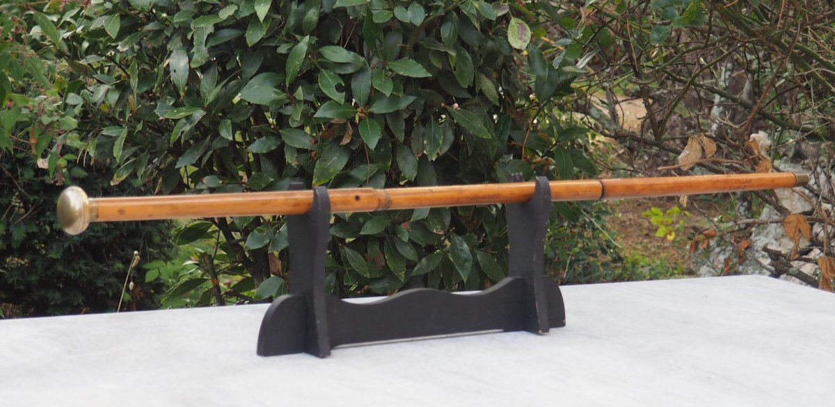 Canne Fusil DUMONTHIER sarbacane à feu XIXe Calibre 7 mm - Arme Détention Libre SCN26OBJ011-photo-8