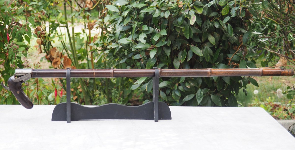 Canne-fusil à système poignée basculante calibre 12mm  410/50 -  SCN26OBJ012