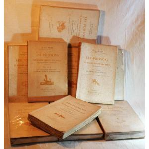 Série complète livres Docteur Roule LES POISSONS ET LE MONDE VIVANT DES EAUX - SBX24POI001