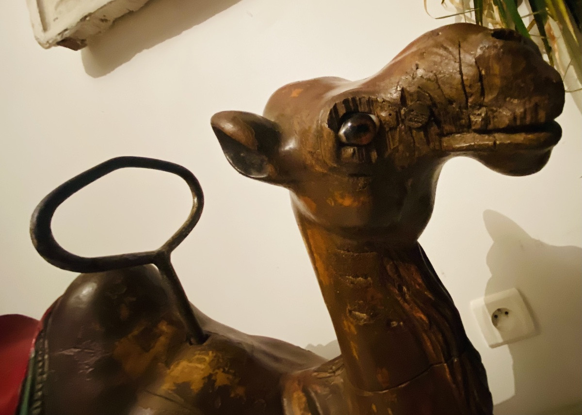 Antique Wooden Camel, Carousel Figure, 1900/1910 -photo-1