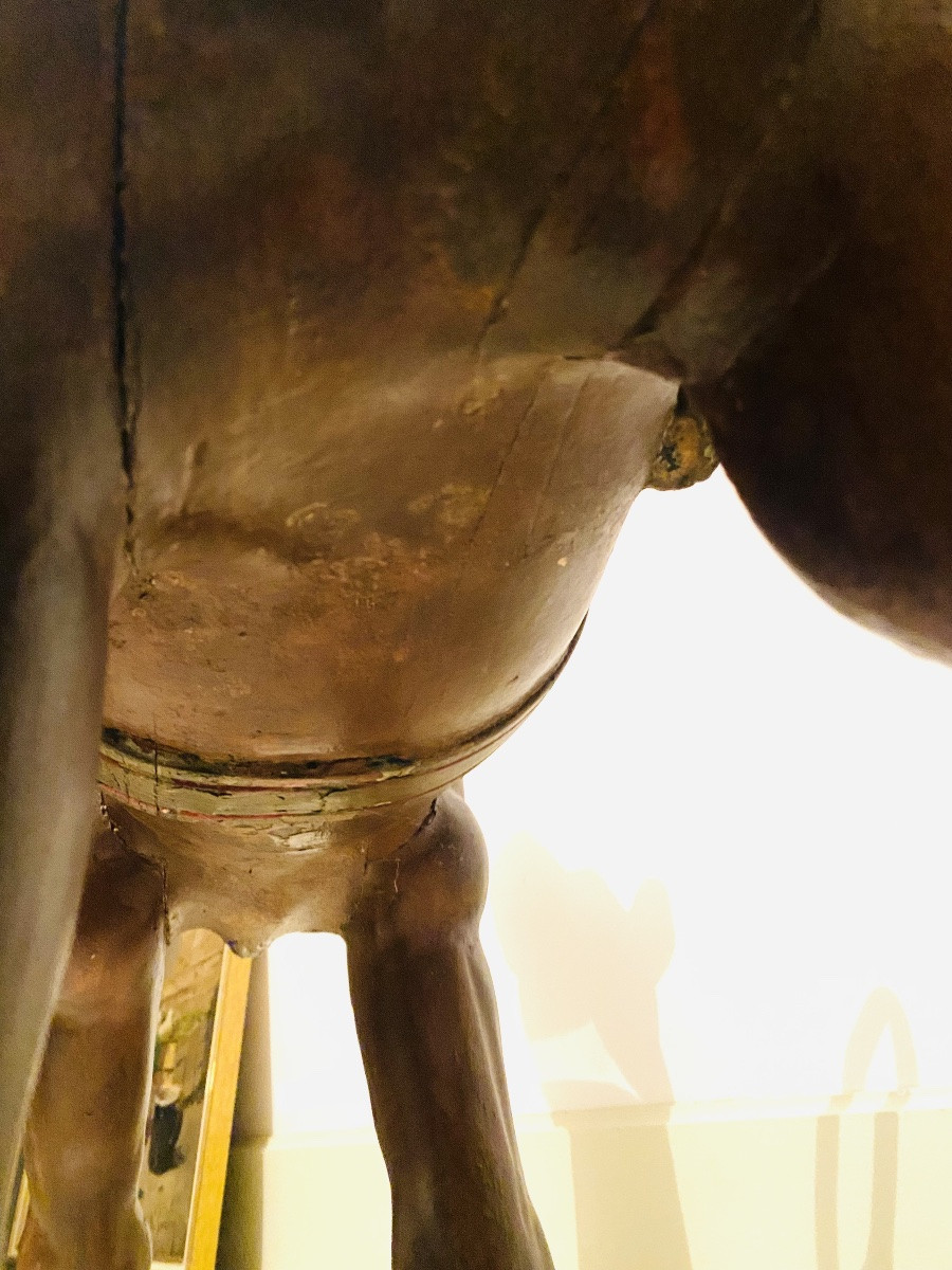 Antique Wooden Camel, Carousel Figure, 1900/1910 -photo-4