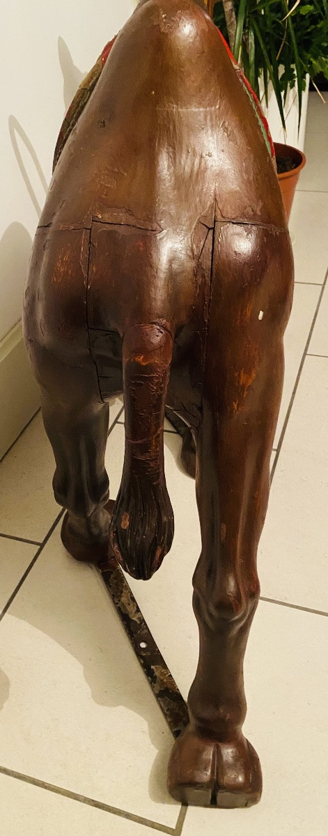 Antique Wooden Camel, Carousel Figure, 1900/1910 -photo-8
