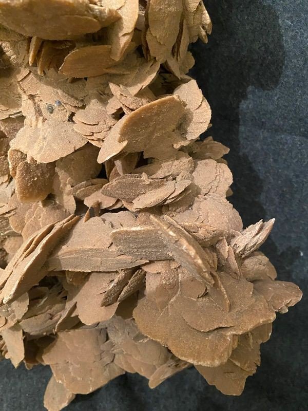 Exceptionnelle grande rose des sables de 22,3 kg -photo-3