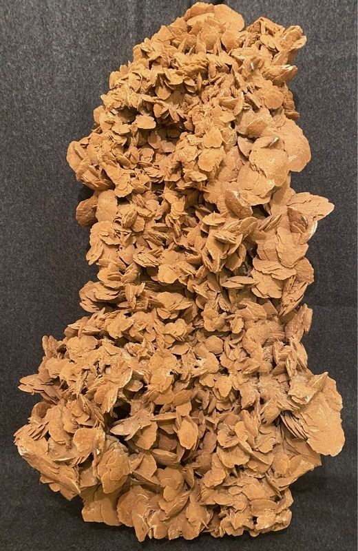 Exceptionnelle grande rose des sables de 22,3 kg 