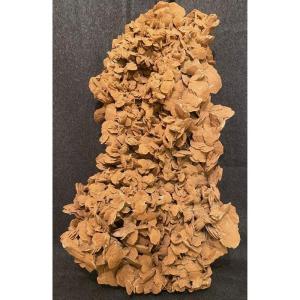 Exceptionnelle grande rose des sables de 22,3 kg 