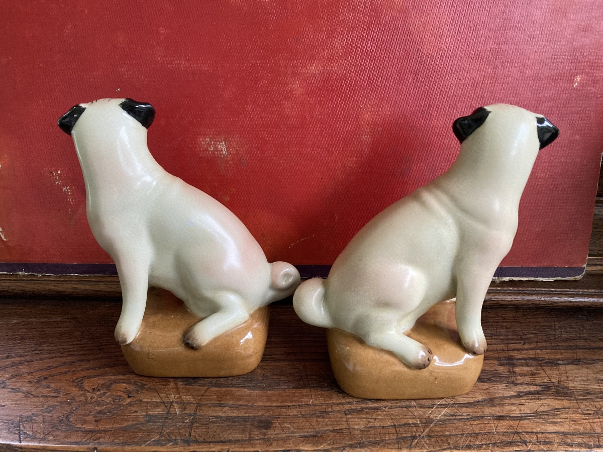 Couple de carlins-photo-4