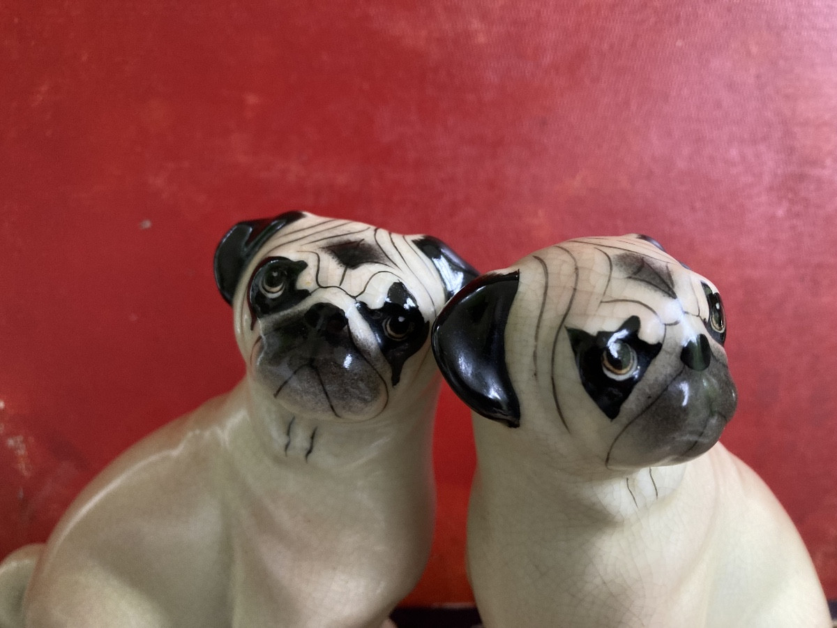 Couple de carlins-photo-4