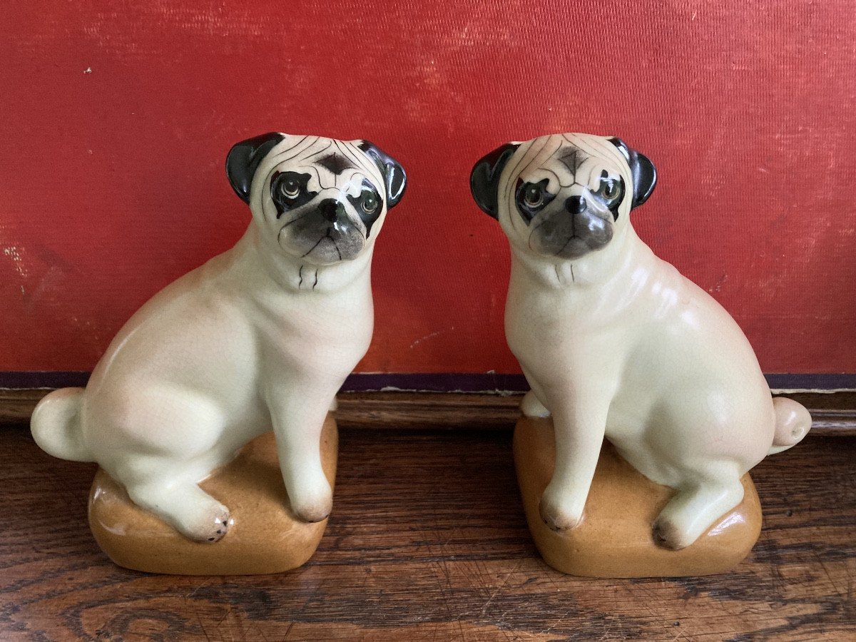 Couple de carlins
