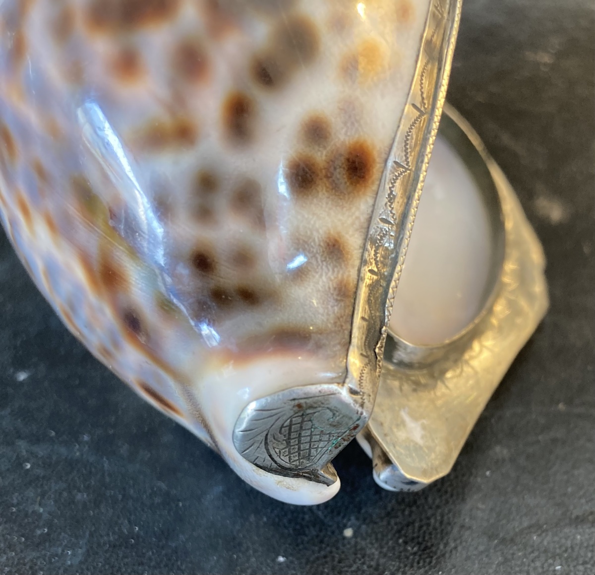 Tabatière coquillage et argent-photo-2