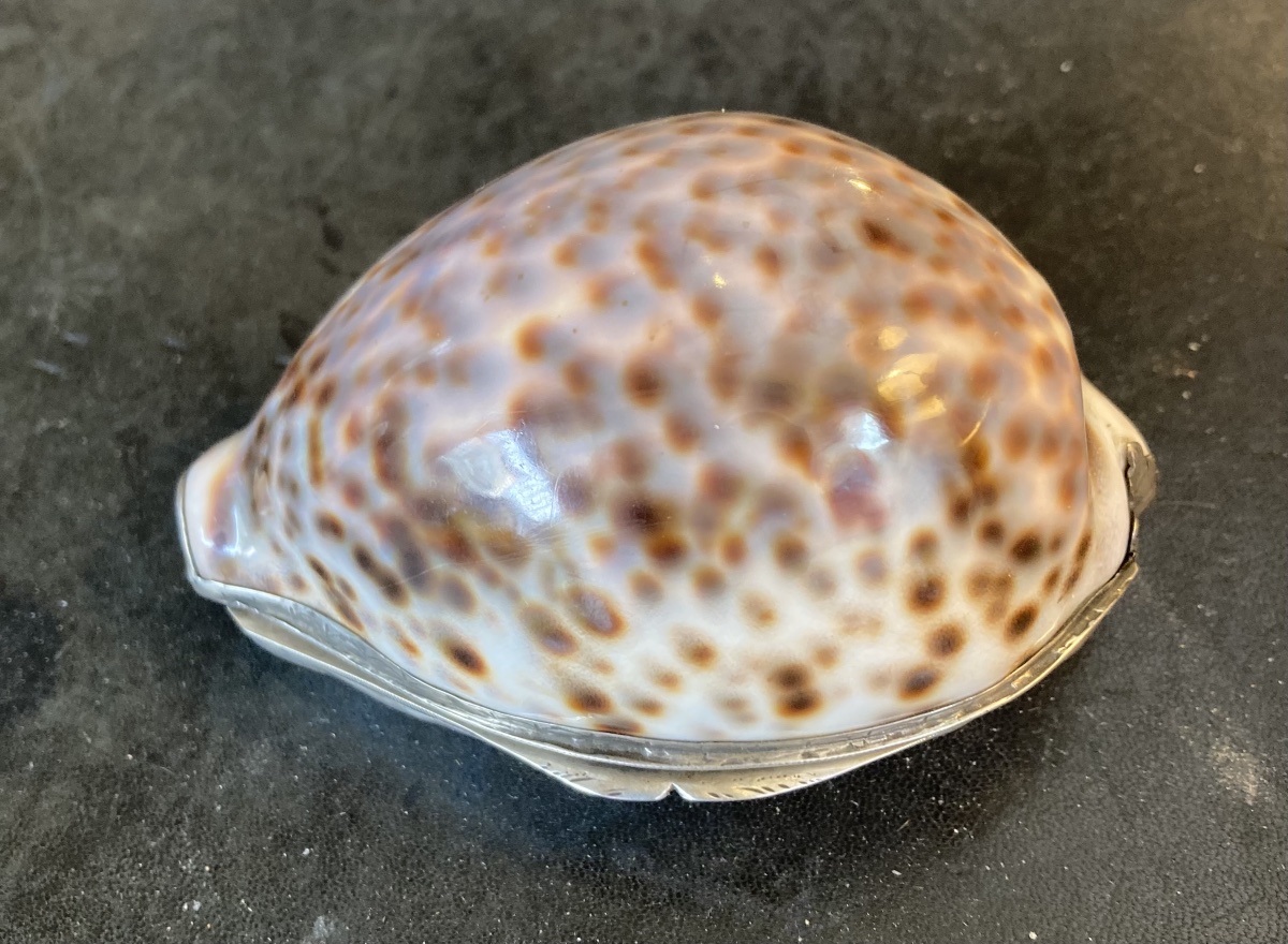 Tabatière coquillage et argent-photo-3