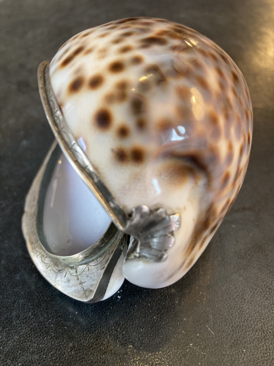 Tabatière coquillage et argent-photo-1