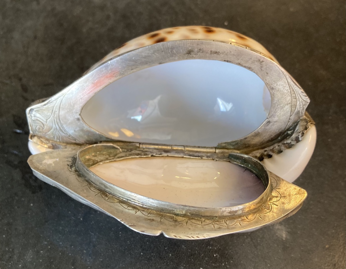 Tabatière coquillage et argent