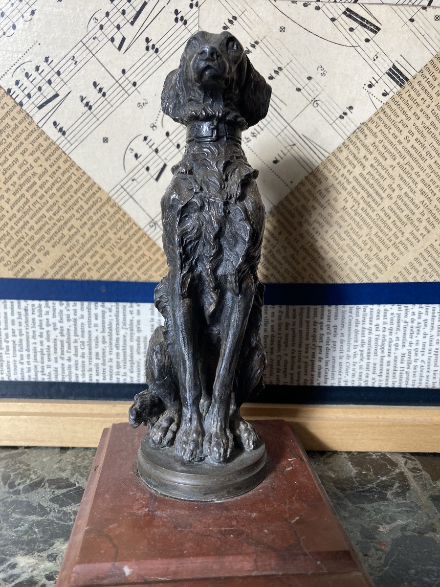 Radiator Cap: Setter-photo-2