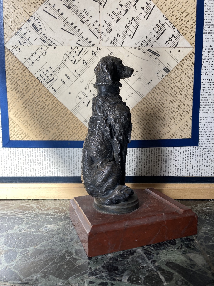 Radiator Cap: Setter-photo-4
