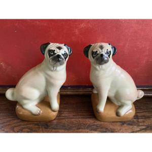 Couple de carlins