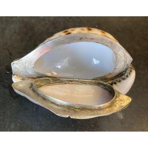 Shell And Silver Snuff Box