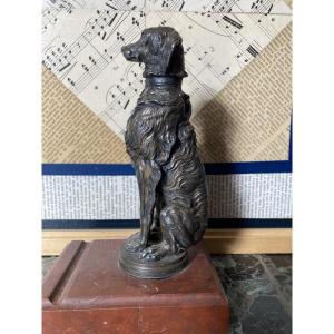 Radiator Cap: Setter