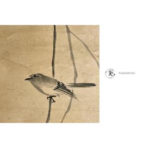 Kakemono Japanese Nightingale Bird Uguisu 