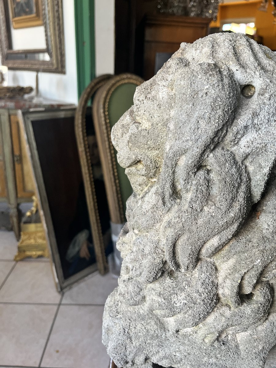 Paire de lions en pierre de grès – Fin du XIXe siècle-photo-8
