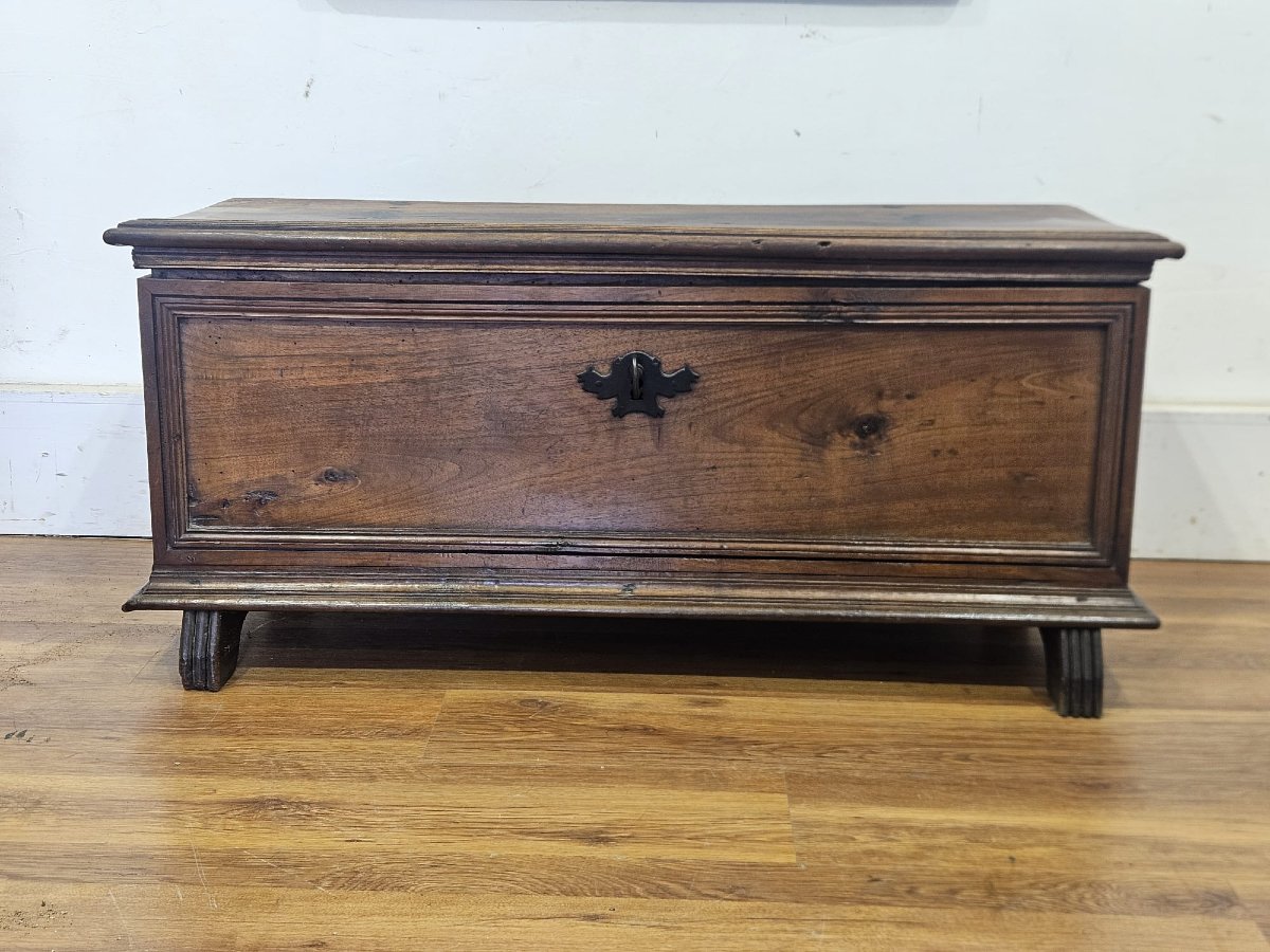 Piedmontese Walnut Chest – 18th Century-photo-2