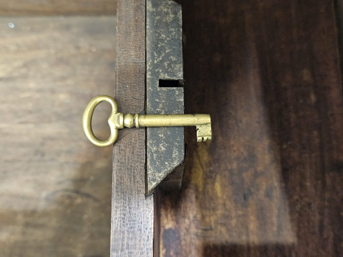 Piedmontese Walnut Chest – 18th Century-photo-2