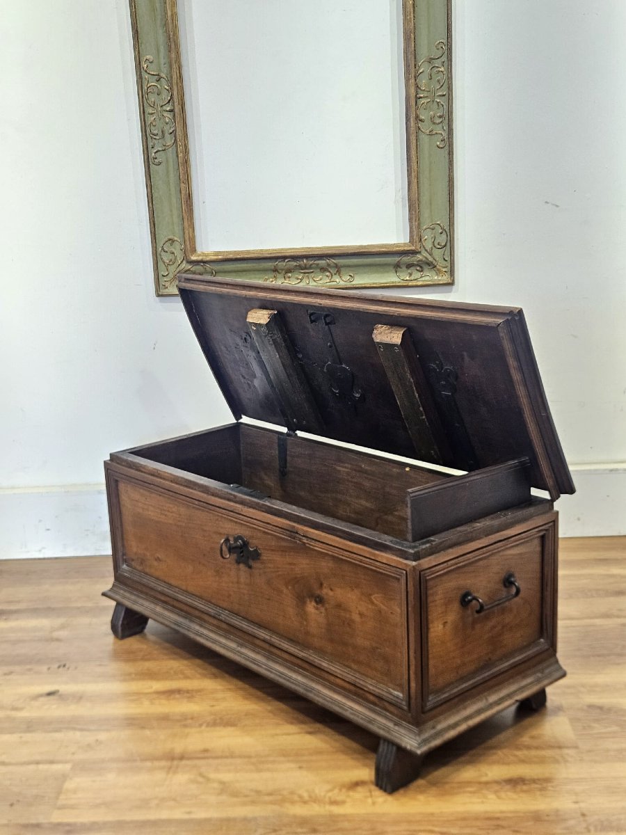 Piedmontese Walnut Chest – 18th Century-photo-5