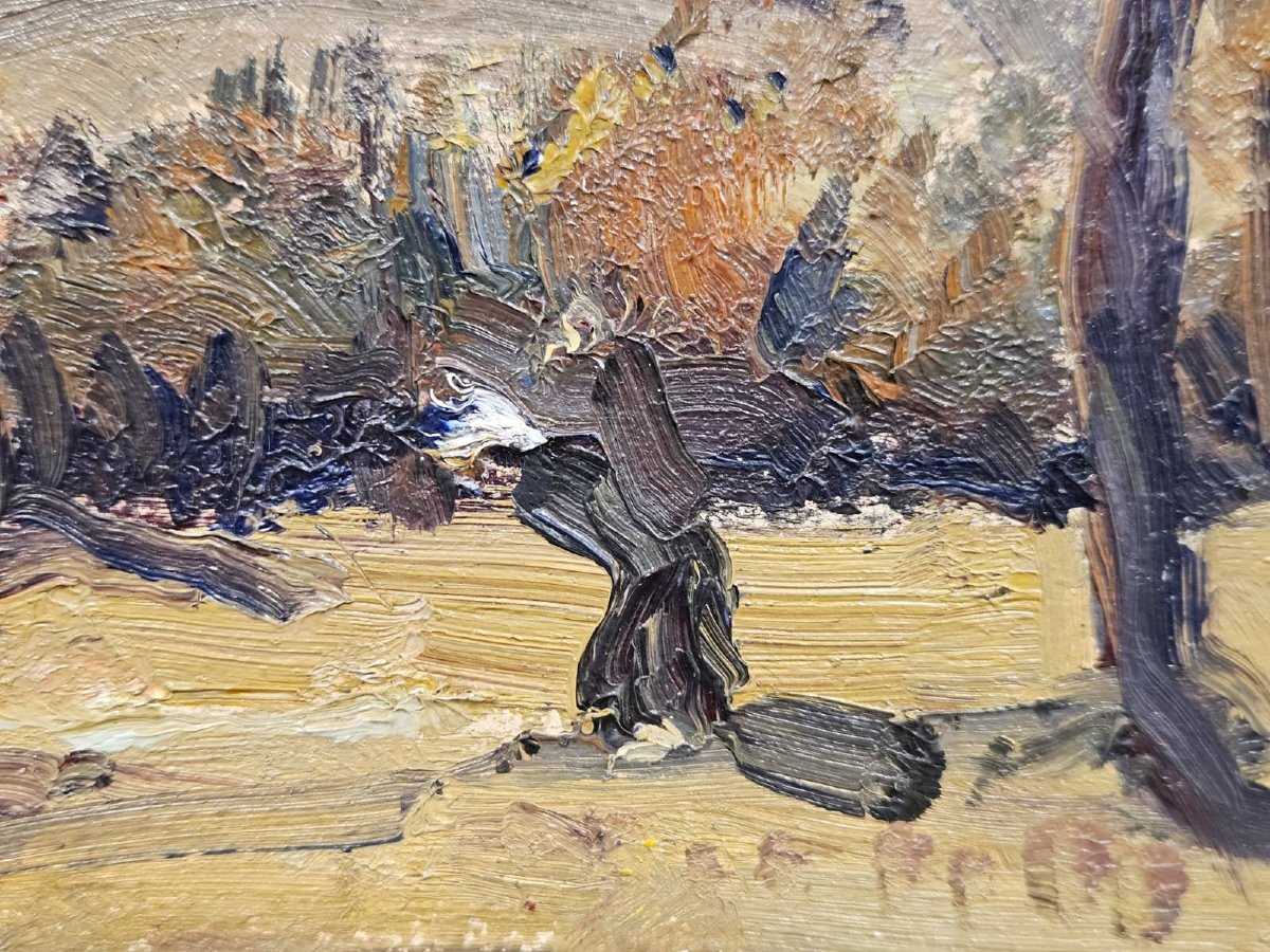 Carlo Musso (1907–1968) – Mountain Landscape – Oil On Panel-photo-2