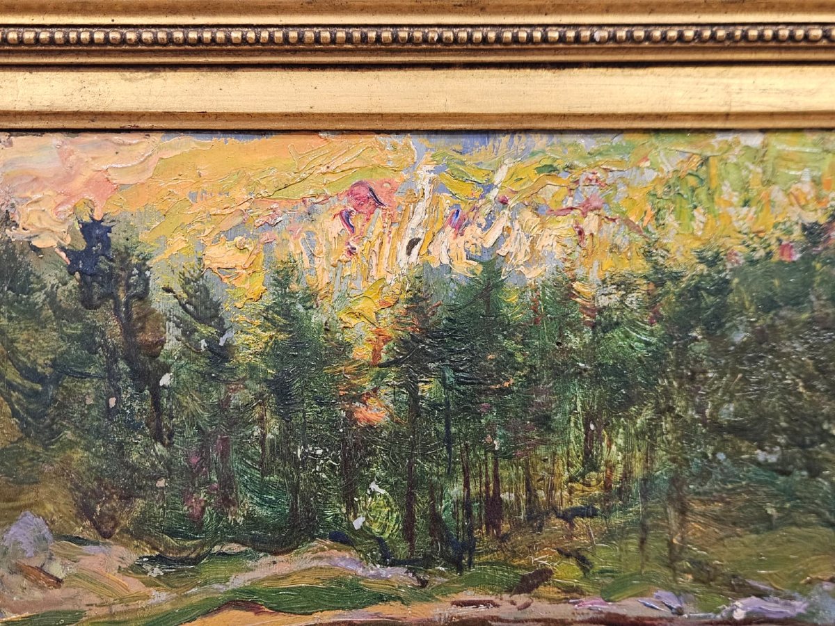 Alberto Falchetti (1878–1951) – Alpine Pond – Oil On Cardboard-photo-8